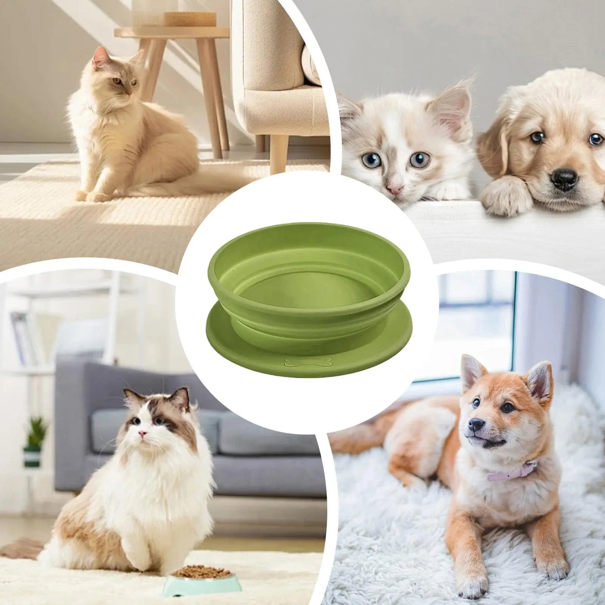 13.3x4.5cm Multipurpose Foldable Pet Bowl Foldable Dog Cat Food Water Feeding Container Compact Easy Carry Drinking Bowl Vue